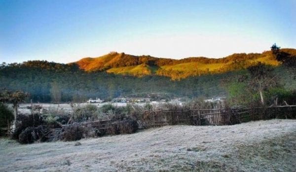 Mercury dips in Kerala; Munnar covered with frost
