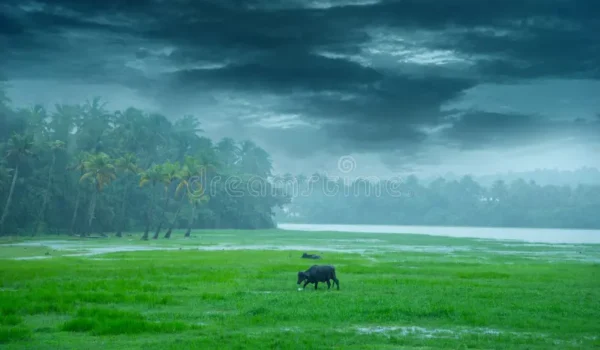 Heavy rainfall expected across Kerala until May 11; yellow alert issued for Ernakulam and Thrissur today