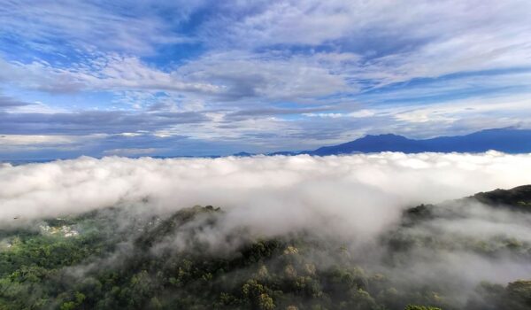 Hidden gem in Kerala draws tourists from far and wide
