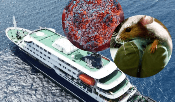 A closer look at Hantavirus — where it comes from, how it spreads, and how to reduce the risk.