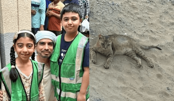 Dubai Emirati cares for 30 rescued cats, many saved from deserts and public parks.