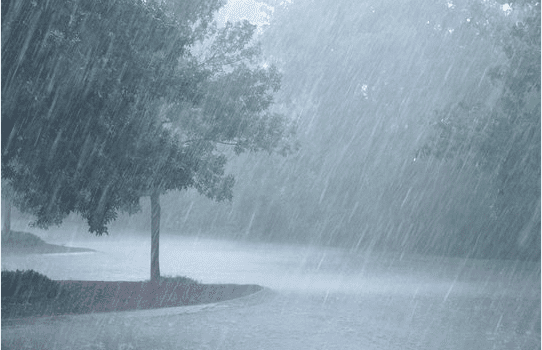 Kerala Braces for More Heavy Rain; Orange Alert Issued in Two Districts Today