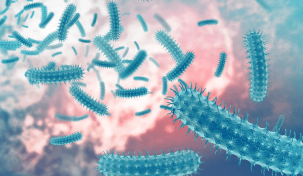 Shigella Cases Continue to Rise in Kerala; One More Infection Reported in Kozhikode