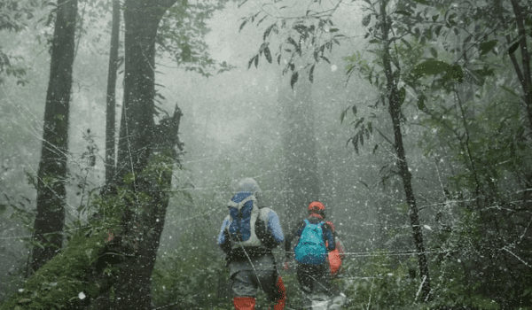 Teacher, Rubber Tapper Rescue Kerala Students Lost in Forest During Trek