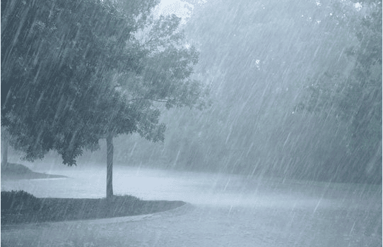 Heavy showers are likely to continue till August 29, with 8 districts under yellow alert today
