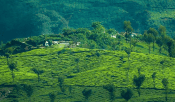 Kerala Revises Eco-Sensitive Zone Boundaries, Several Villages Get Relief