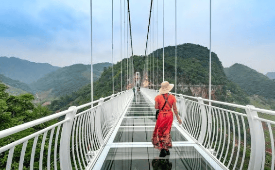 Munnar Glass Bridge Row: Collector Vows Action Against Erring Officials