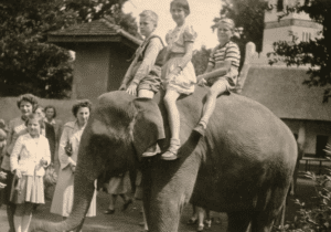 Berlin elephant